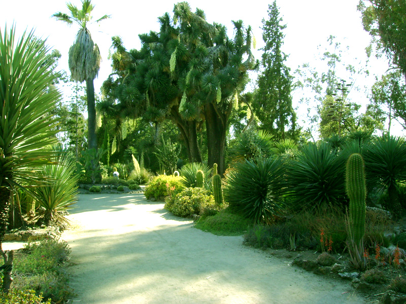 Stanford Arboretum 1